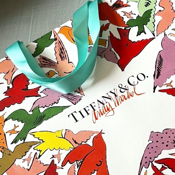 TIFFANY & CO/ANDY WALHOL Limited Edition Gift bag + extra iconic Robin's Egg bag - Picture 8 of 10